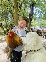 Photo n°13 de Equita passion à Morillon (Club de sport)