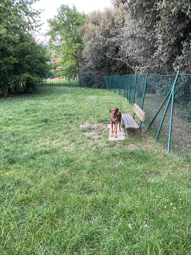 Area gioco cani - Thumbnail