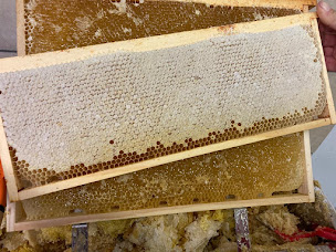 Photo n°3 de abeilles du berry à Sazeray (Miellerie)