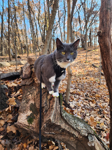 Cross Plains State Park - Thumbnail