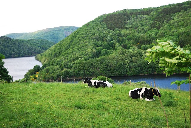 Parc national de l'Eifel