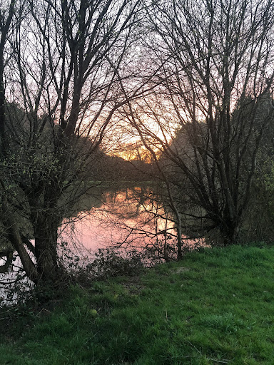 The Field of Brocéliande - Thumbnail