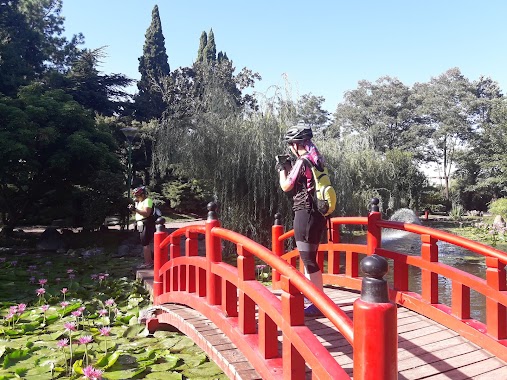 Japanese Garden, Author: Martina Alonso