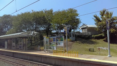 Delmar Loop Station