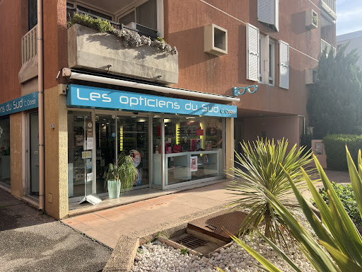 LES OPTICIENS DU SUD SAS