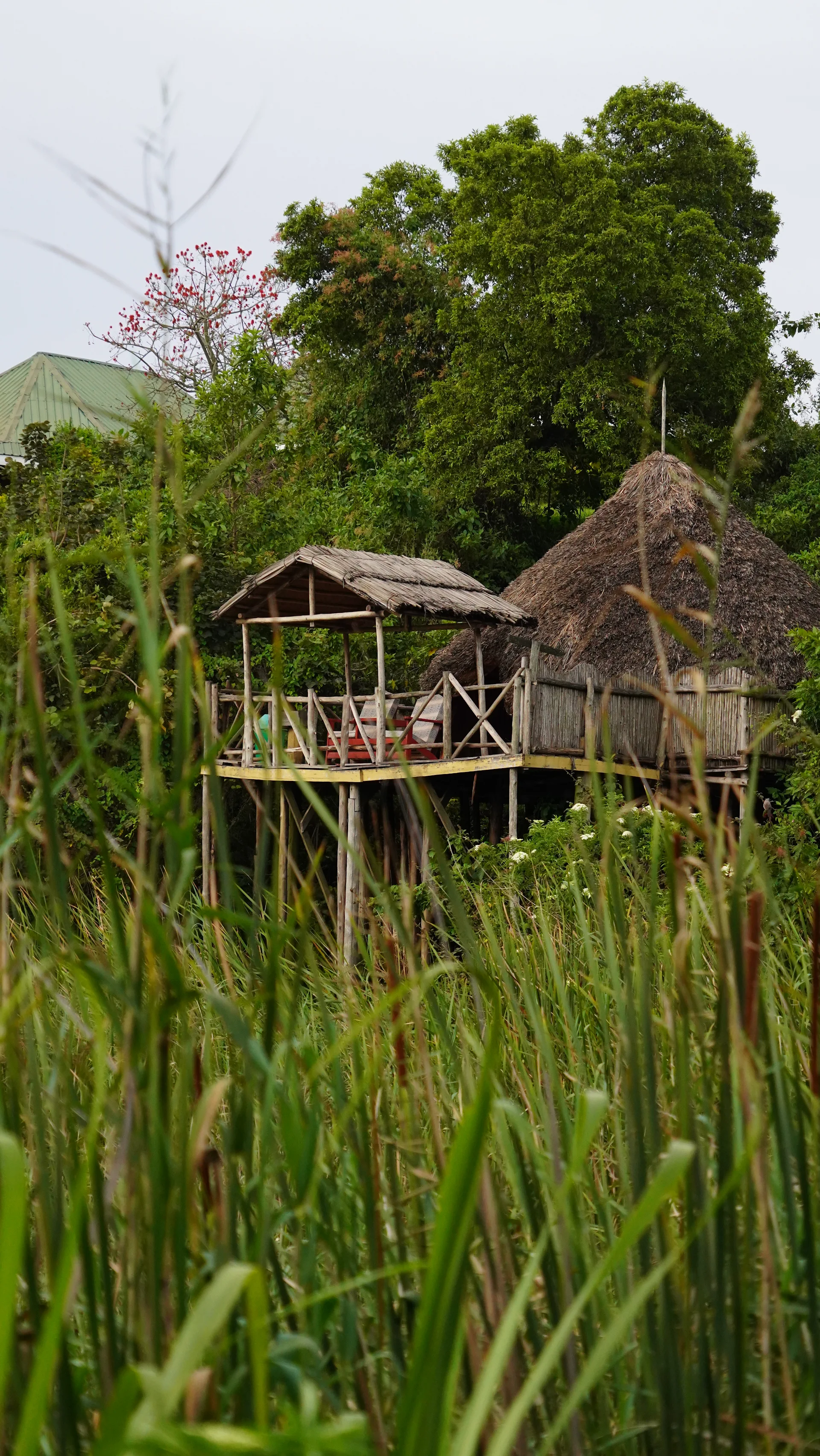 Paradise Eco-Hub