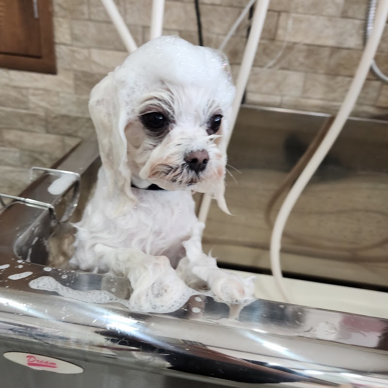 佐賀トリミングサロンDogLovers