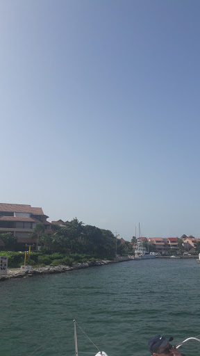 Golf Cart Rentals Puerto Aventuras 10% OFF + HOME DELIVERY - Thumbnail