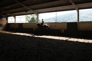 Photo n°7 de Centre Equestre de Farnay à Farnay (Centre de randonnée équestre)