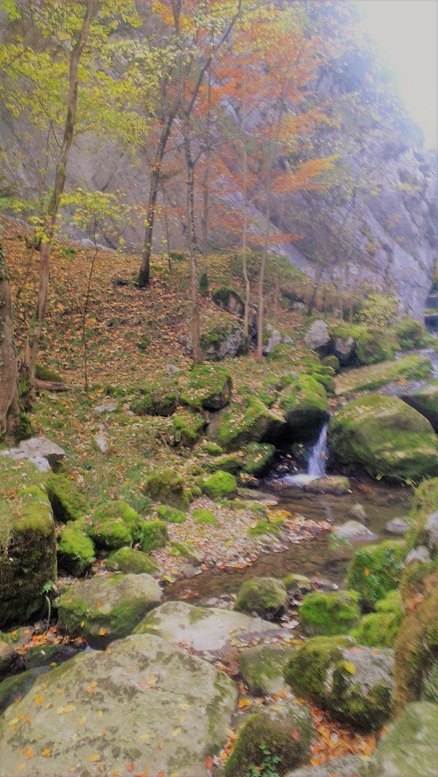 Gorges du Pichoux