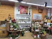 Fleurs et nature à Prades