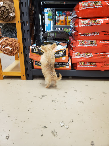 Unleashed, the Dog & Cat Store at Lake Boone Shopping Center - Thumbnail