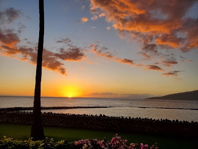 Maui Paradise Oceanfront Condo