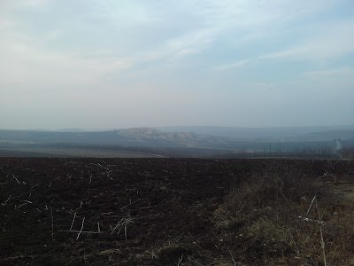 Photos of Rezervația Naturală Feteşti