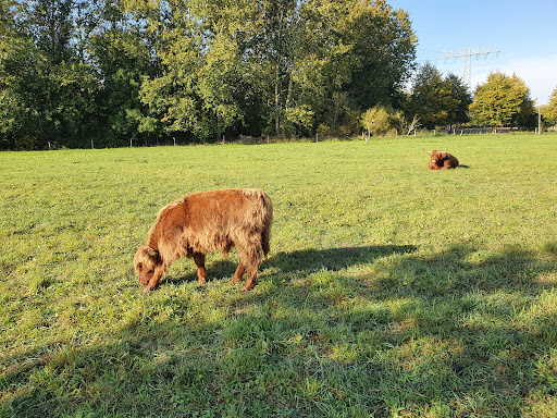 Park am Weidengrund - Thumbnail