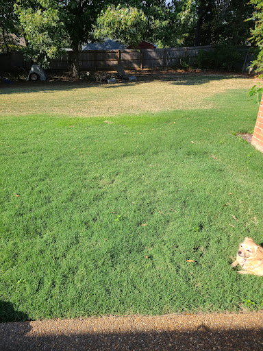 Desoto Turf