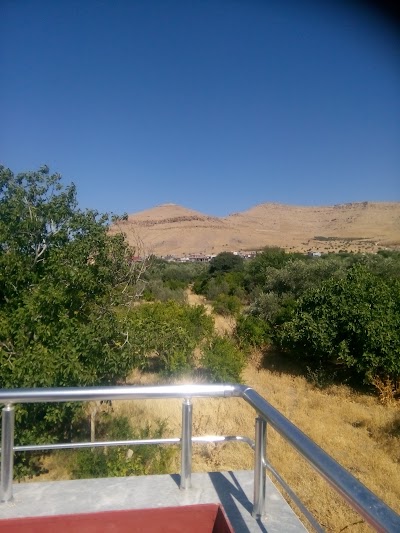 Photos of Ahmet Kaya Parkı