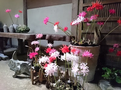 Photos of 加茂花鳥園