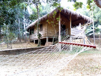 Photos of Nishorgo Lichi Bari Ecocottage