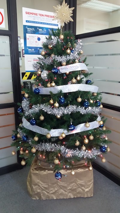 Photos of Gasco Planta Osorno