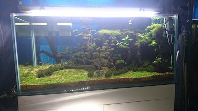 Photos of AQUABLIE