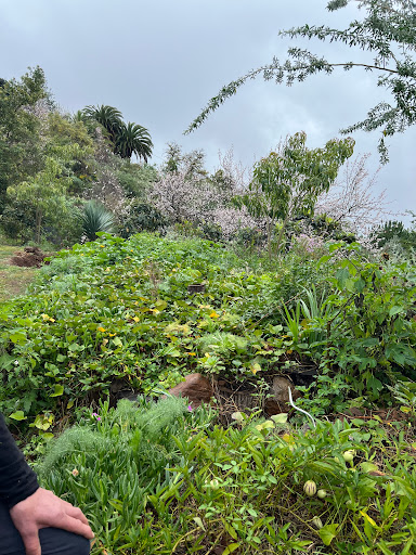 AUTarcaMatricultura - Permaculture Masterclass Guided Tour - only with reservation - Thumbnail