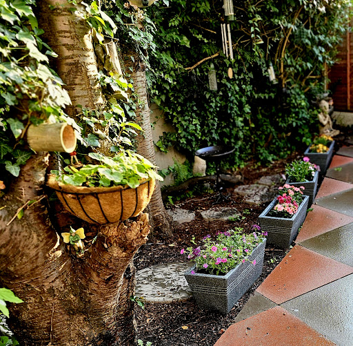 Mandala Fusion Therapies