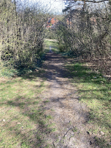 Fehntjer Berg