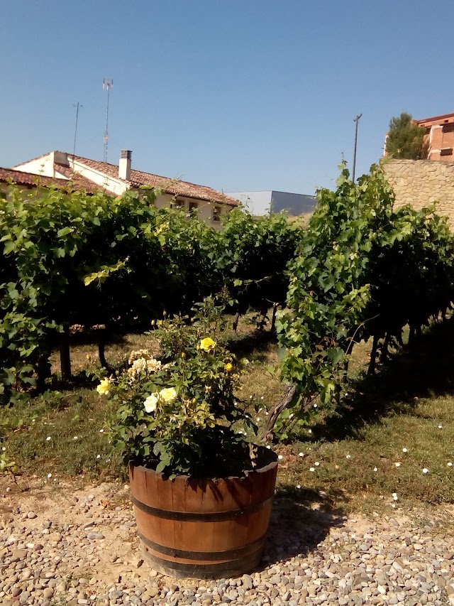 Bodega Miguel Merino