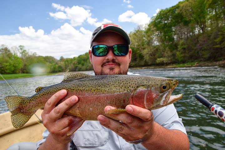 The Smoky Mountain Angler by null