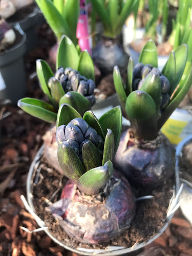 Spanner Gartenbau UGmbH