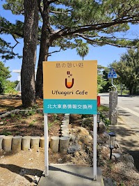 北大東観光案内所/Ufuagari Cafe 本店