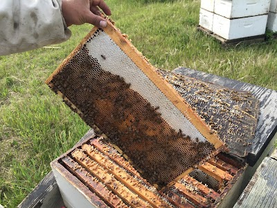Photos of Wolfe's Natural Bee Products Inc.