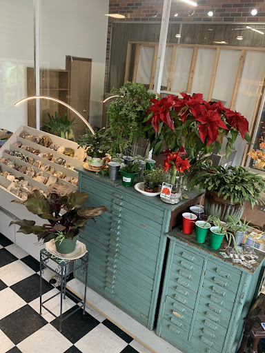 Hidden Gems Rock Shop By The Jewelry Connection - Thumbnail