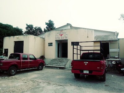 Photos of Xkopek, Beekeeping Park