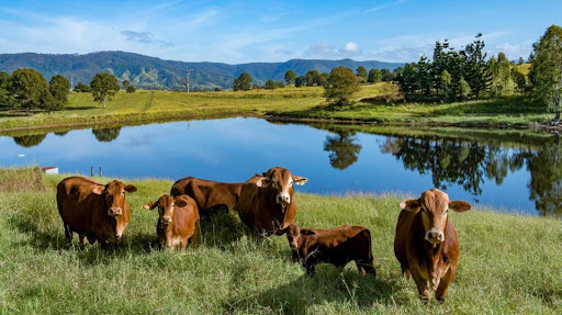 Ray White Rural Toogoolawah - Thumbnail
