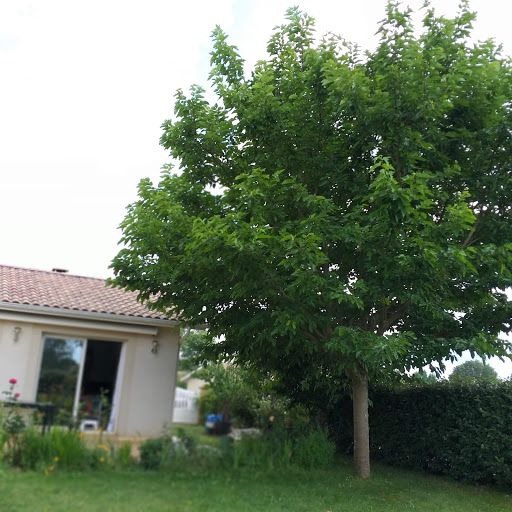Agence immobilière Laforêt Biganos - Thumbnail