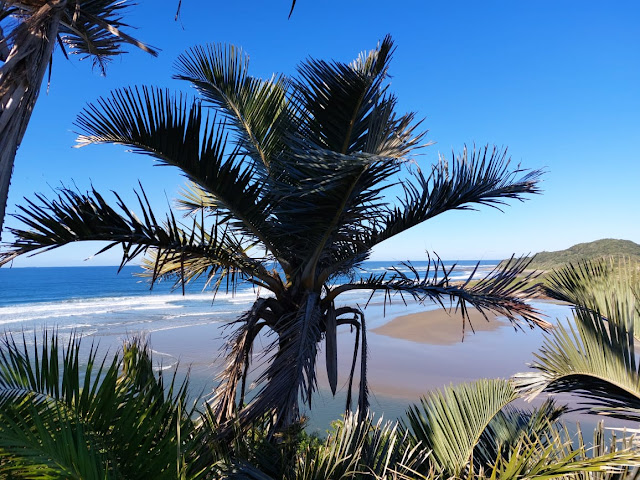 Mtentu Lodge by null