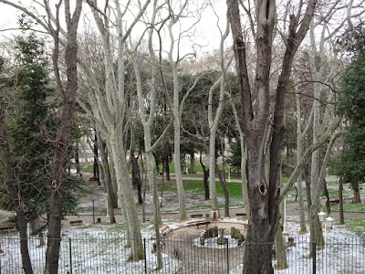 Photos of The Museum of the Ancient Orient