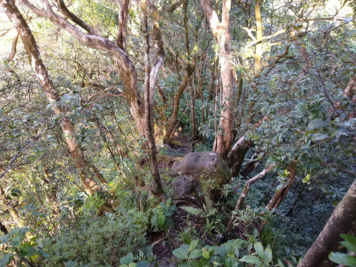 Pu'u Manamana Hike - Thumbnail