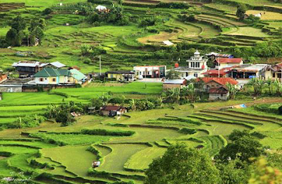 Photos of Puncak Taman Raya Balingka