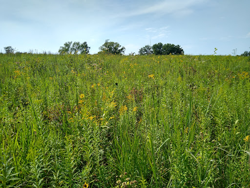 Cross Plains State Park - Thumbnail