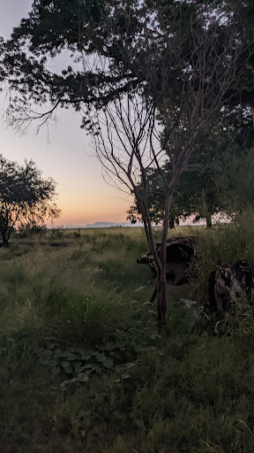 Las Ceibas - Visual