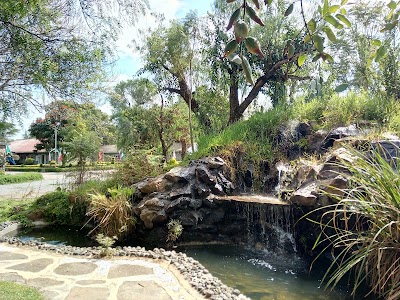 Photos of Greensteds International School