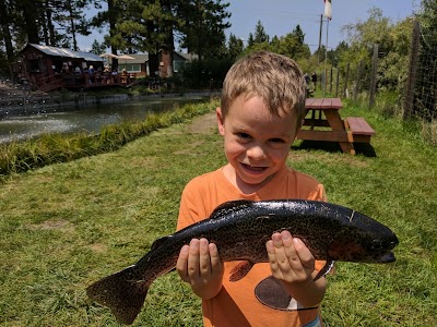 Tahoe Trout Farm