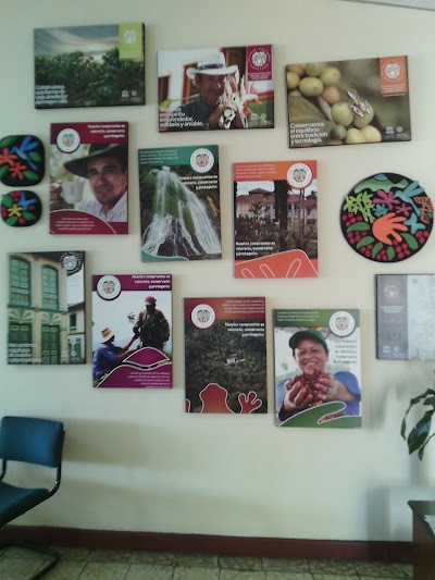 Photos of Cafenorte