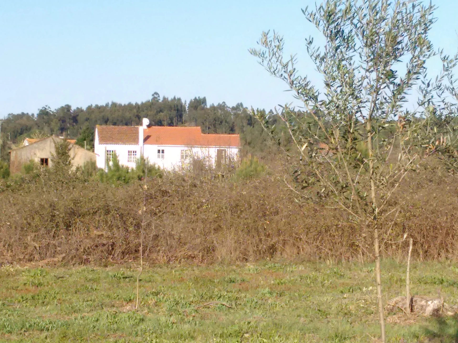 Casa da Alagoa, Arganil