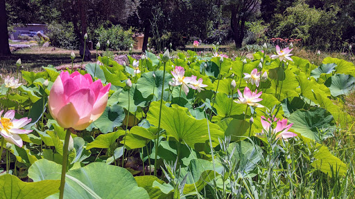 Vedanta Society of Sacramento