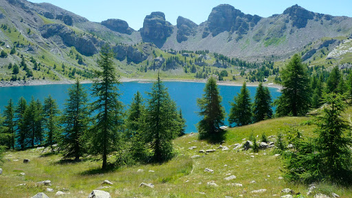 CAMPING RELARGUIERS Gallery - France
