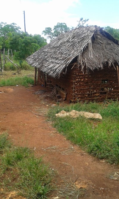 Photos of Forest Dream Resort
